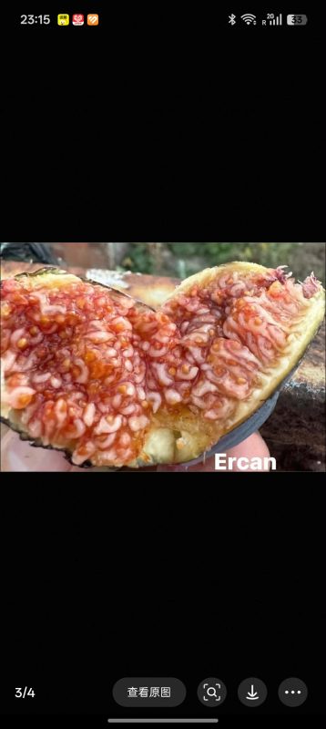 小果迷-种植爱好者交流互动平台