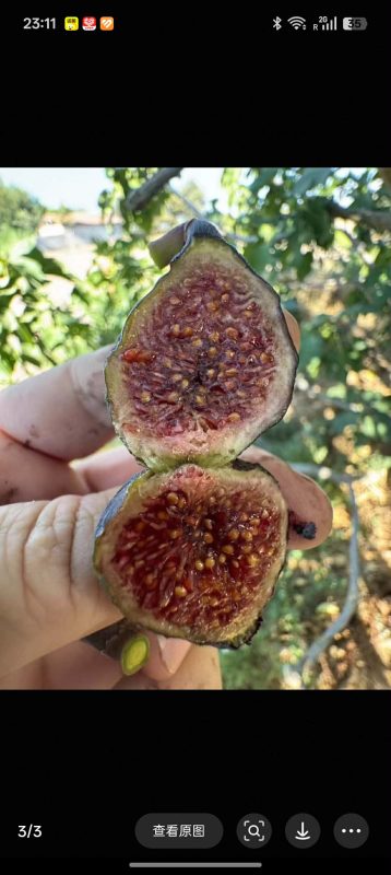 小果迷-种植爱好者交流互动平台