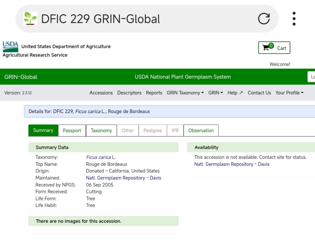 Screenshot_2026-04-01-04-08-23-172_com.mmbox.xbrowser.pro-edit