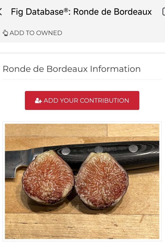 Screenshot_2026-04-01-04-17-45-119_com.moonshot.kimichat-edit