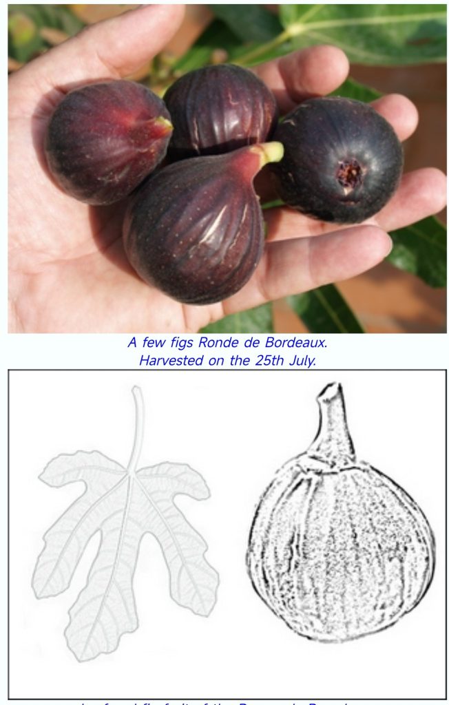 Screenshot_2026-04-01-05-00-36-702_com.mmbox.xbrowser.pro-edit