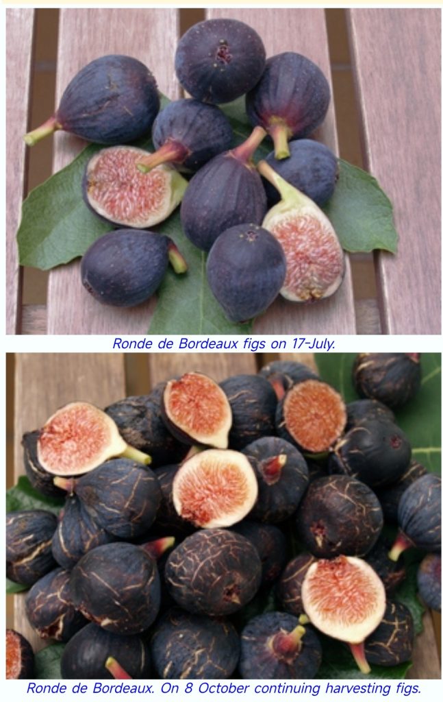 Screenshot_2026-04-01-05-01-15-305_com.mmbox.xbrowser.pro-edit