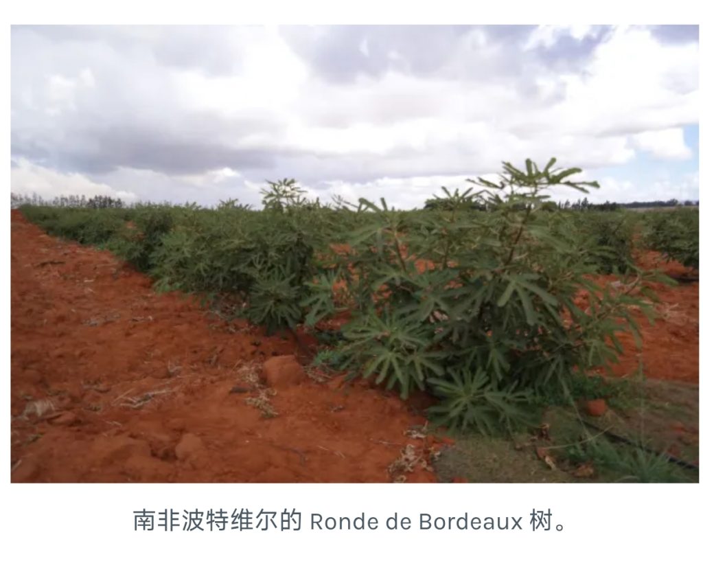 Screenshot_2026-04-01-05-06-21-354_com.mmbox.xbrowser.pro-edit