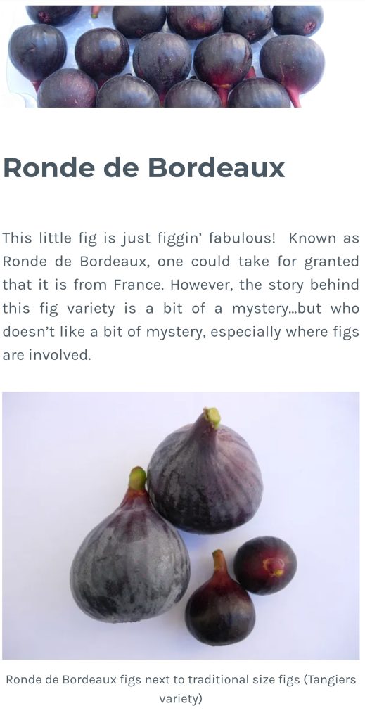 Screenshot_2026-04-01-05-08-03-141_com.mmbox.xbrowser.pro-edit