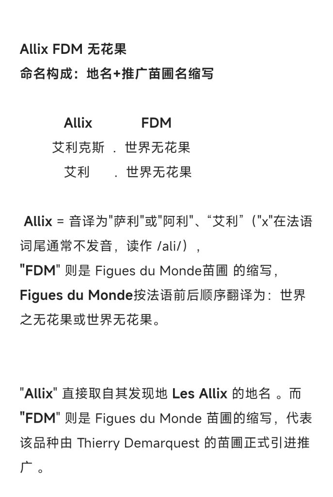 评论图片-小果迷