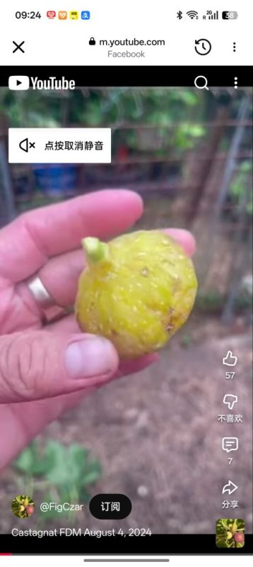 小果迷-种植爱好者交流互动平台