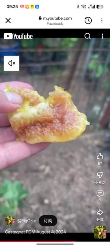 小果迷-种植爱好者交流互动平台