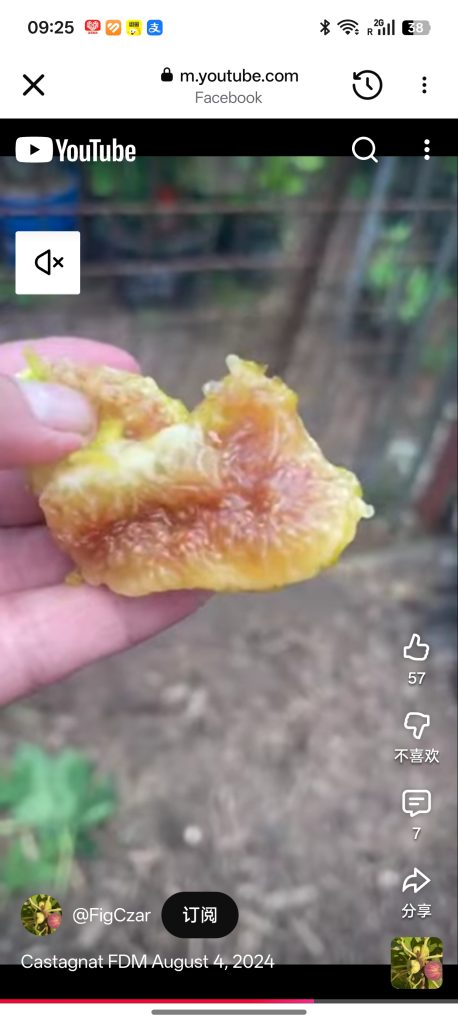 小果迷-种植爱好者交流互动平台