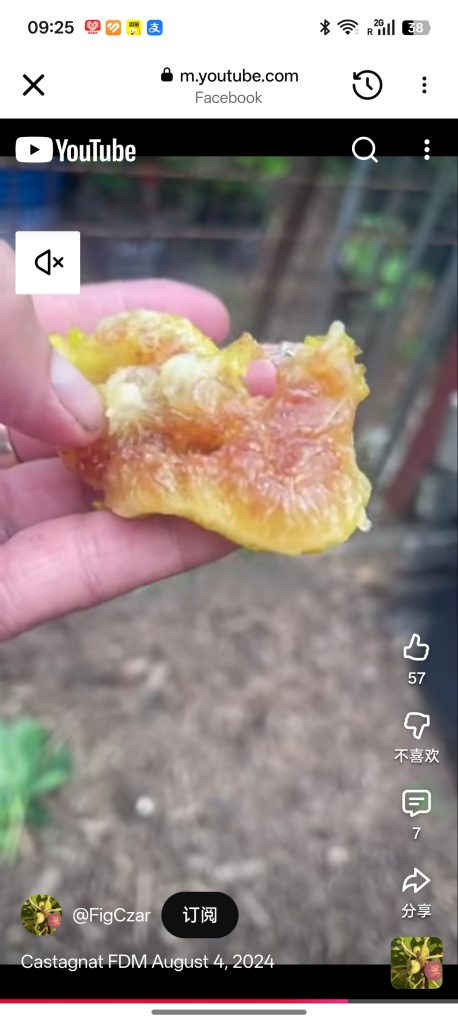 小果迷-种植爱好者交流互动平台