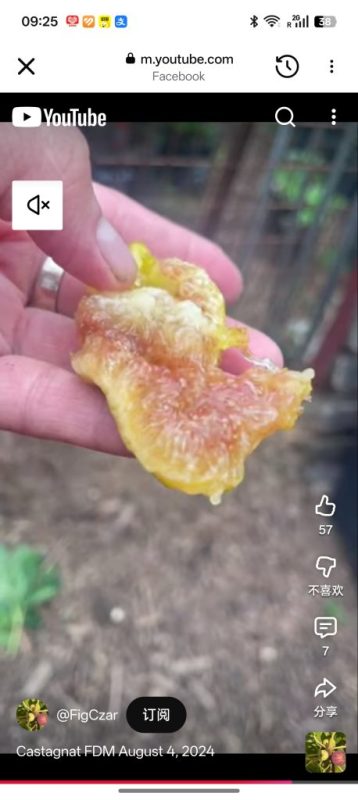 小果迷-种植爱好者交流互动平台