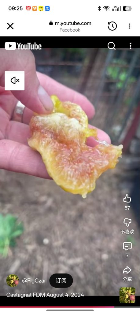 小果迷-种植爱好者交流互动平台