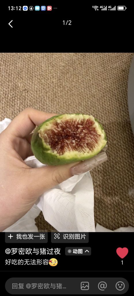 Screenshot_20260420_131213_com_ss_android_ugc_aweme_MainActivity