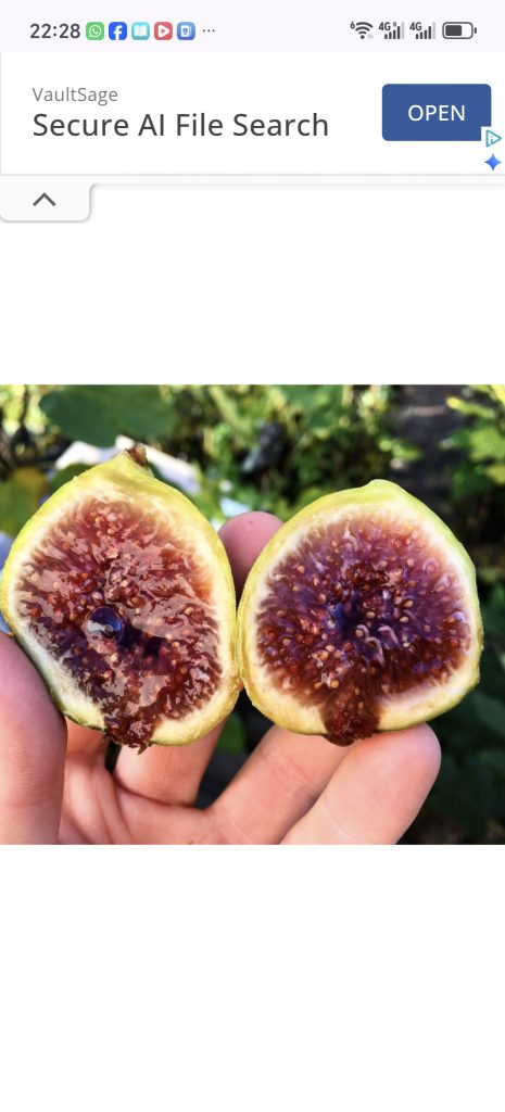 小果迷-种植爱好者交流互动平台