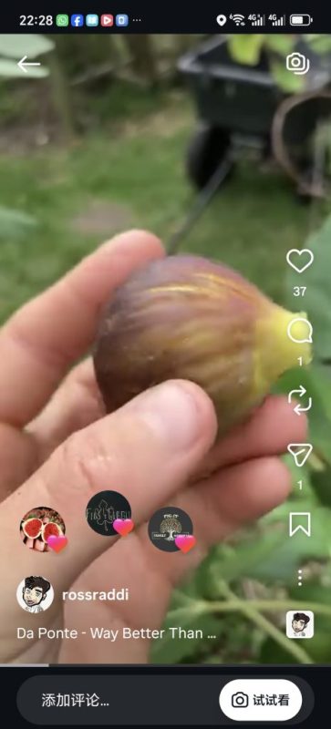 小果迷-种植爱好者交流互动平台