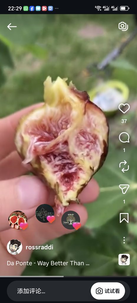 小果迷-种植爱好者交流互动平台