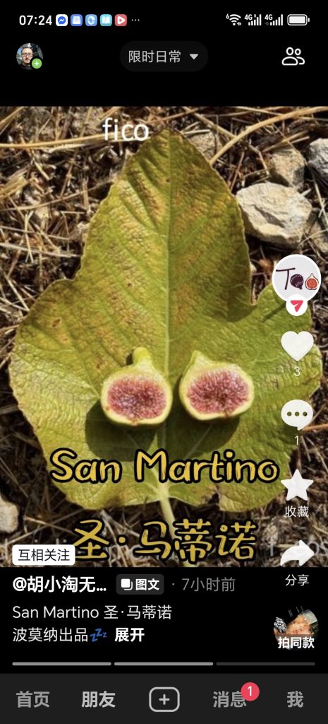 圣马蒂诺    San Martino  （波莫纳花园）-小果迷