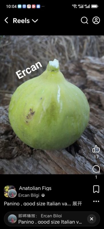 小果迷-种植爱好者交流互动平台