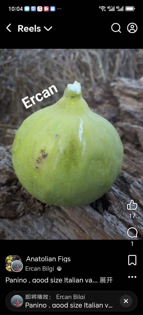 Screenshot_20260422_100434_com_facebook_katana_ImmersiveActivity