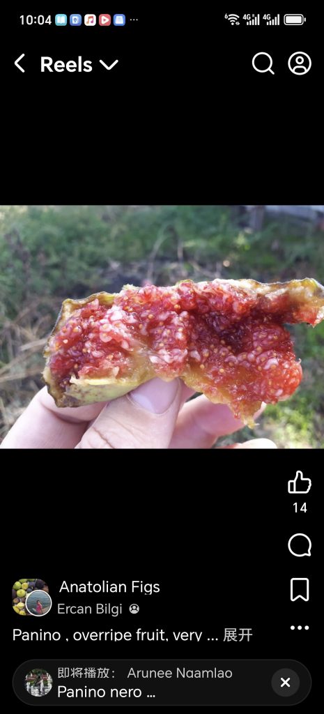 Screenshot_20260422_100451_com_facebook_katana_ImmersiveActivity