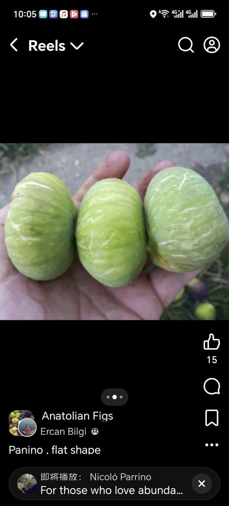 Screenshot_20260422_100519_com_facebook_katana_ImmersiveActivity