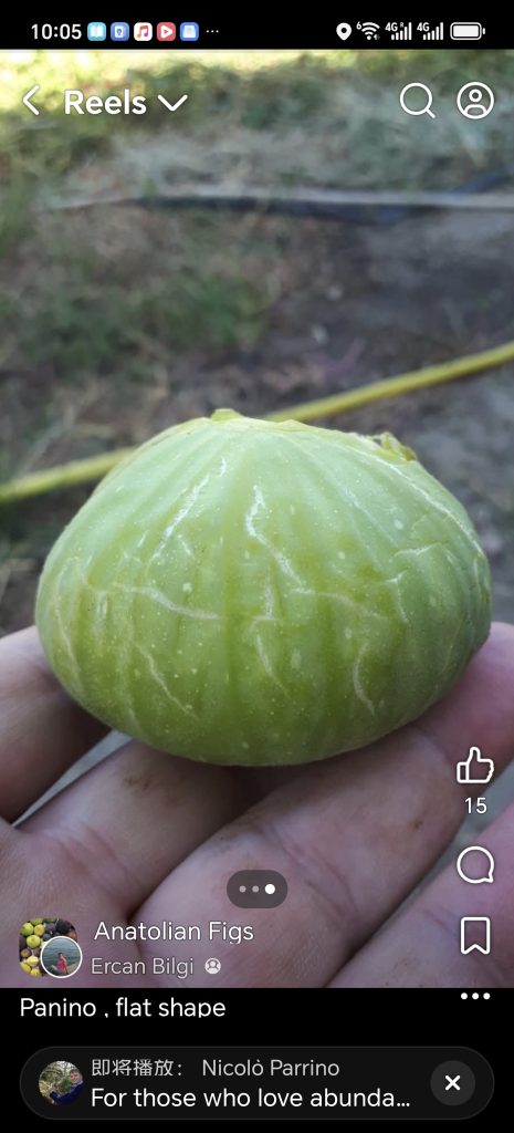 Screenshot_20260422_100524_com_facebook_katana_ImmersiveActivity