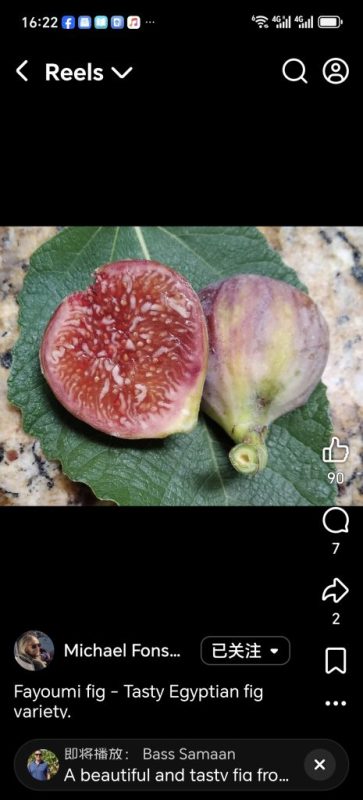 小果迷-种植爱好者交流互动平台