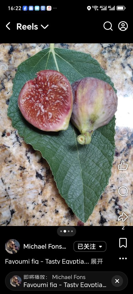 小果迷-种植爱好者交流互动平台