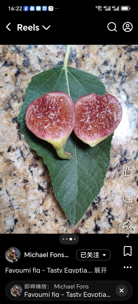 小果迷-种植爱好者交流互动平台