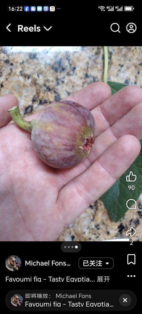 小果迷-种植爱好者交流互动平台