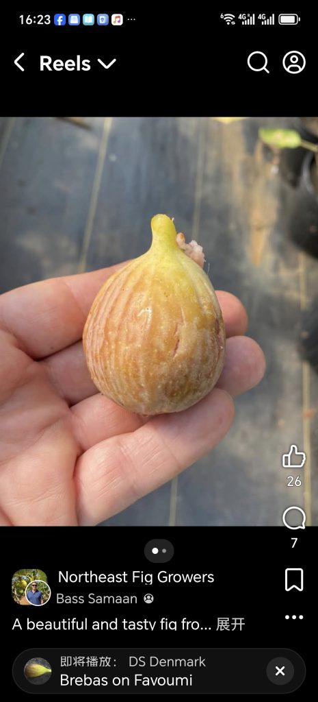 小果迷-种植爱好者交流互动平台