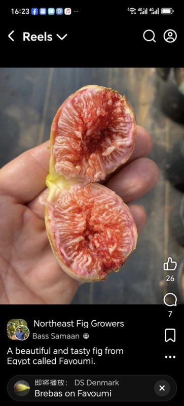 小果迷-种植爱好者交流互动平台