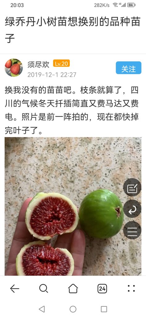 评论图片-小果迷