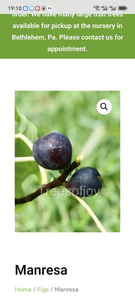 Screenshot_20260423_191013_com_android_chrome_CustomTabActivity