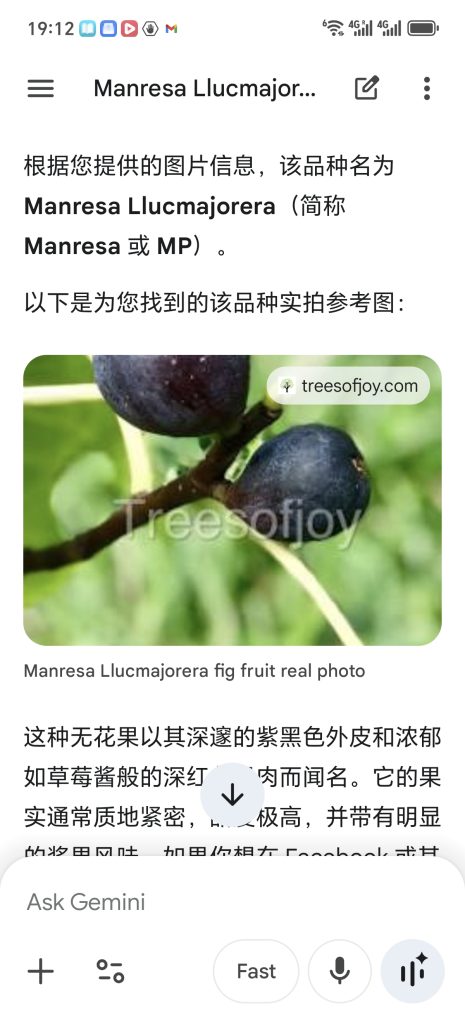 Screenshot_20260423_191231_com_google_android_googlequicksearchbox_MainActivity