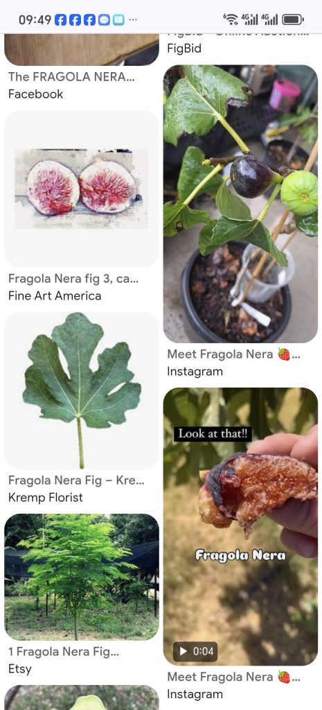 Screenshot_20260424_094918_com_android_chrome_ChromeTabbedActivity