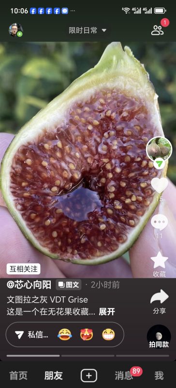 小果迷-种植爱好者交流互动平台