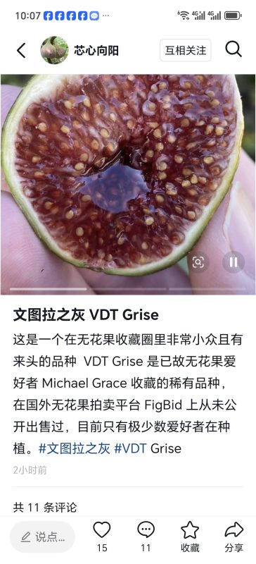 小果迷-种植爱好者交流互动平台