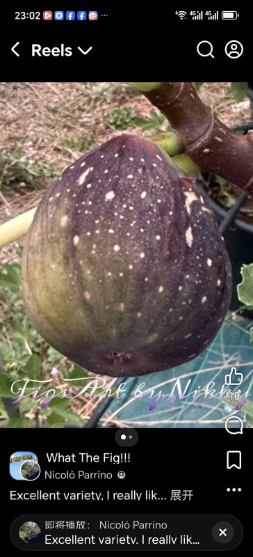 小果迷-种植爱好者交流互动平台