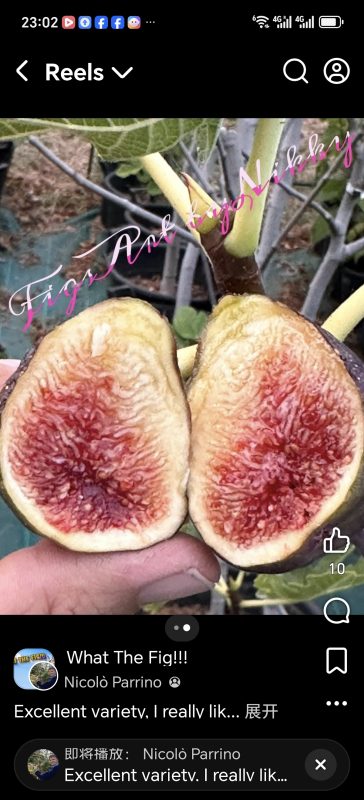 小果迷-种植爱好者交流互动平台