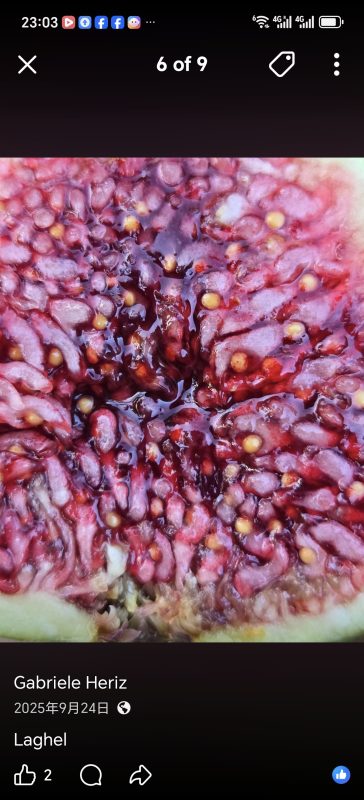 小果迷-种植爱好者交流互动平台