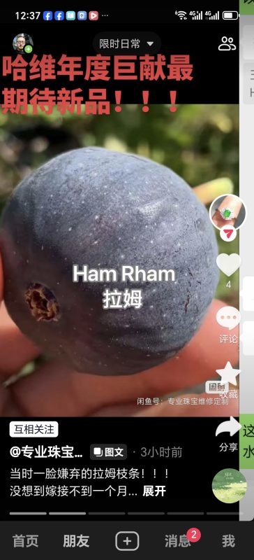 汉姆 拉姆 Ham Rham（专业珠宝维修）-小果迷