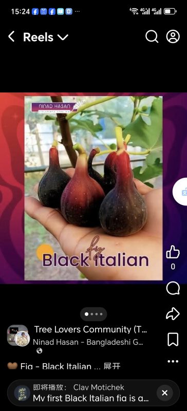 小果迷-种植爱好者交流互动平台