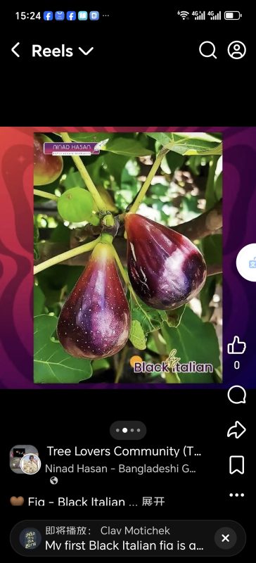 小果迷-种植爱好者交流互动平台