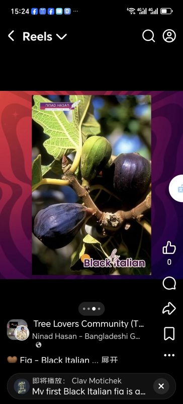 小果迷-种植爱好者交流互动平台