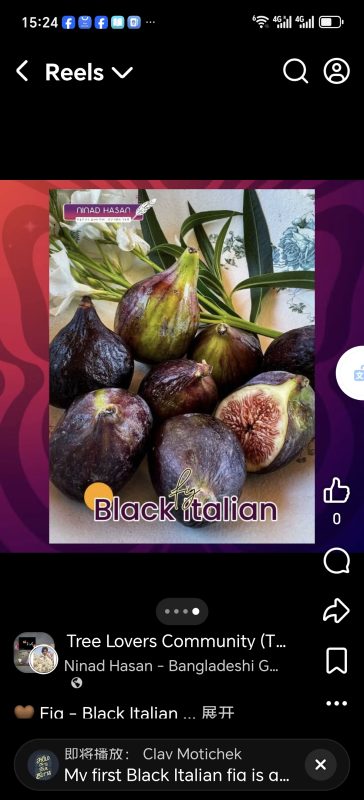 小果迷-种植爱好者交流互动平台