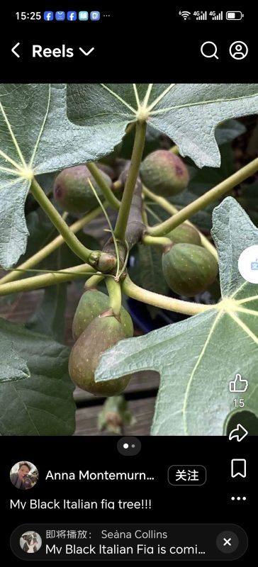 小果迷-种植爱好者交流互动平台