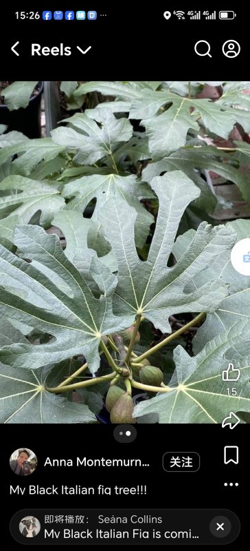 小果迷-种植爱好者交流互动平台