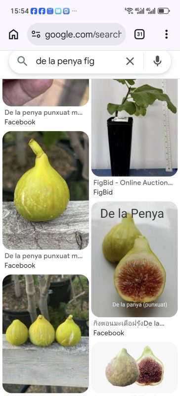 小果迷-种植爱好者交流互动平台