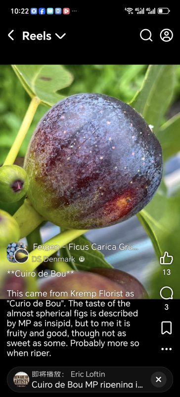 小果迷-种植爱好者交流互动平台