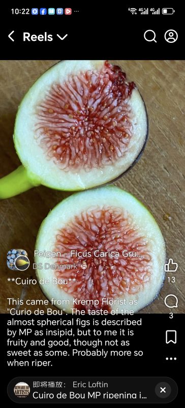 小果迷-种植爱好者交流互动平台